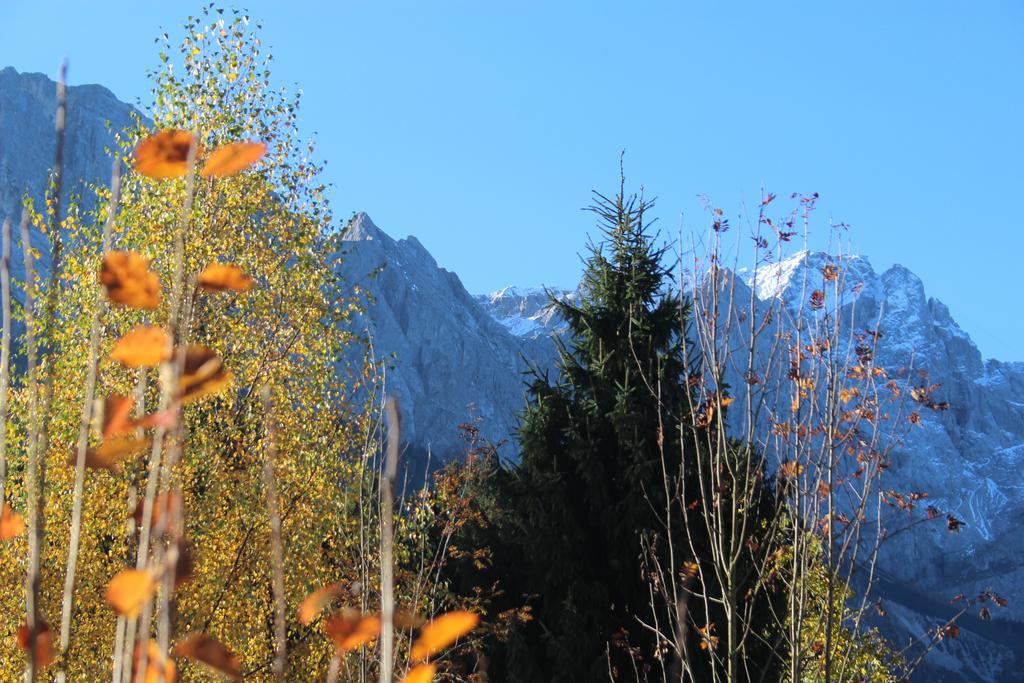 Das Schoenanger Ferienwohnungen Grainau Exterior foto